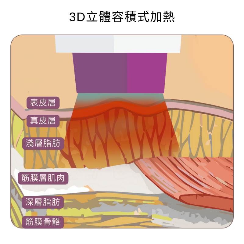 鳳凰電波｜3D立體容積式加熱原理