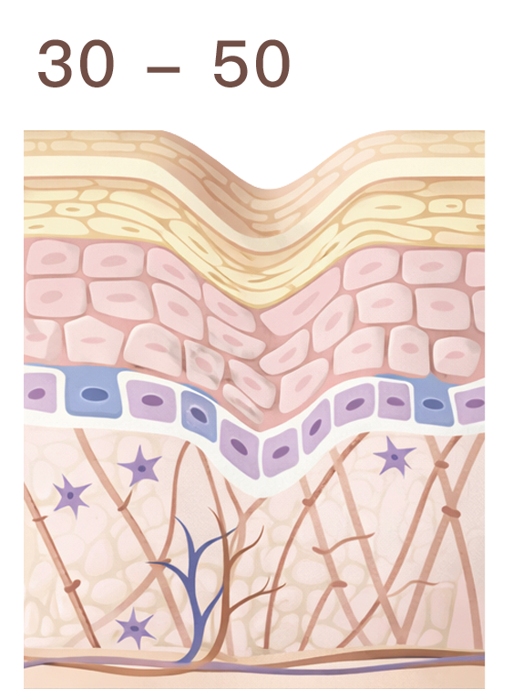 舒顏萃 (童妍針) 神救援，擊退顯老元兇 — 膠原蛋白流失