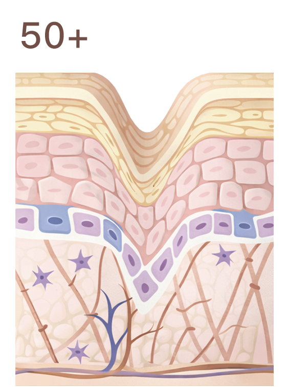 舒顏萃 (童妍針) 神救援，擊退顯老元兇 — 膠原蛋白流失