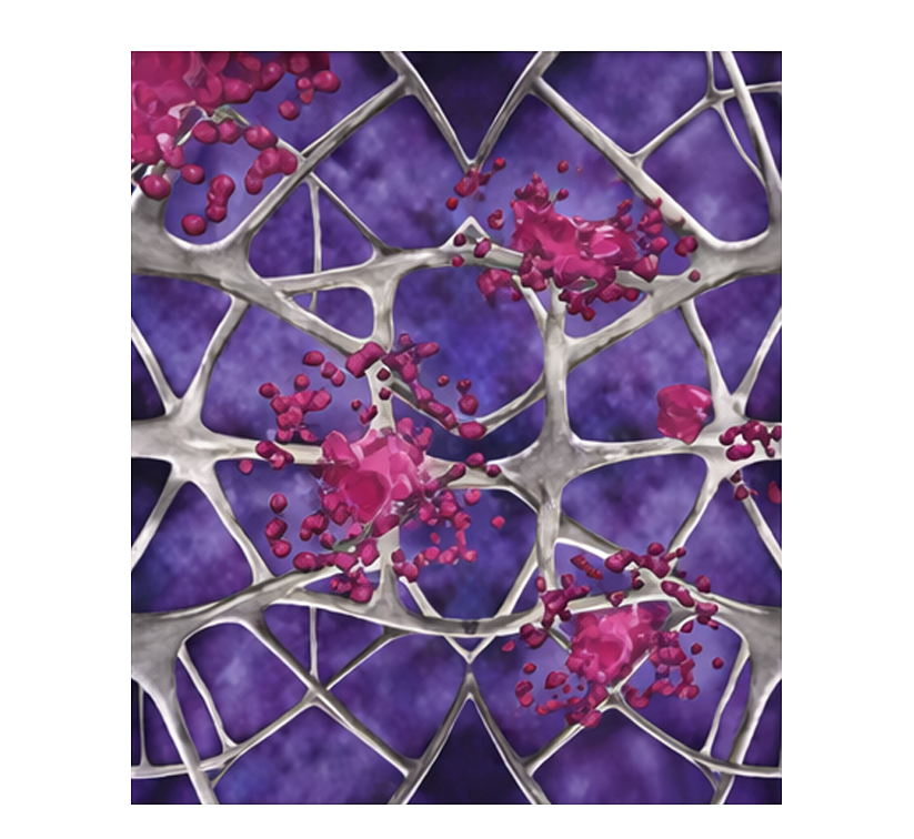 勤診所｜PLLA聚左旋乳酸如何作用？