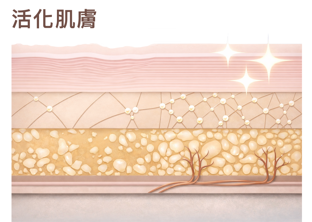 舒顏萃 (童妍針) 5大優勢