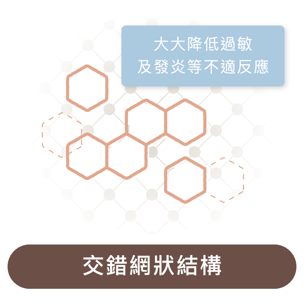 2603 瑞斯朗_五大優勢