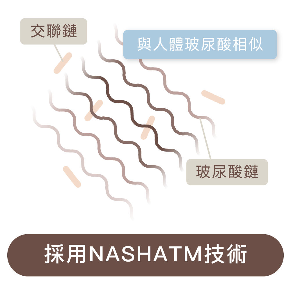 2603 瑞斯朗_五大優勢_2