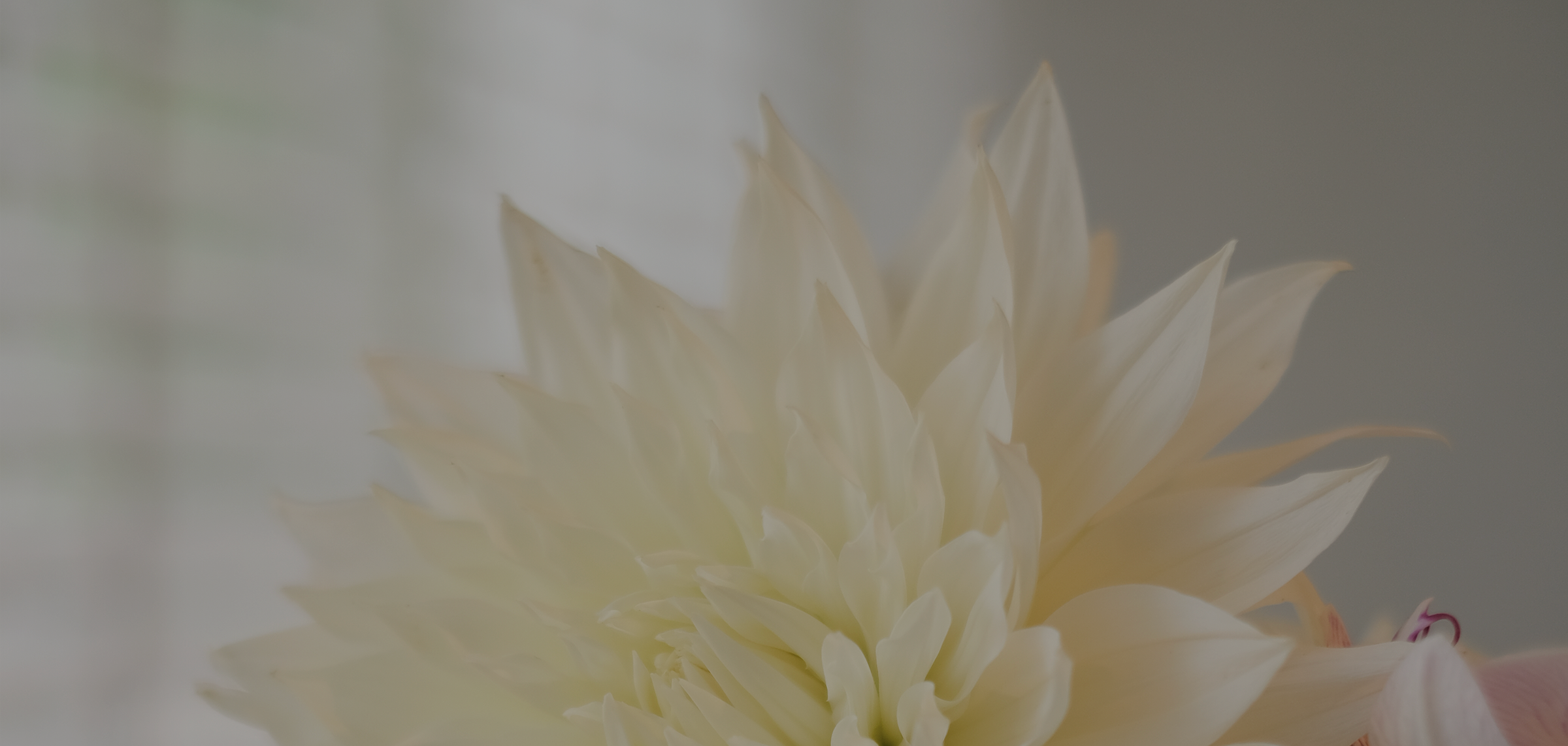 打玻尿酸會變毛毛蟲、饅化？Restylane 瑞絲朗玻尿酸適合部位、維持多久、AI美光針又是什麼？一次講懂不踩雷