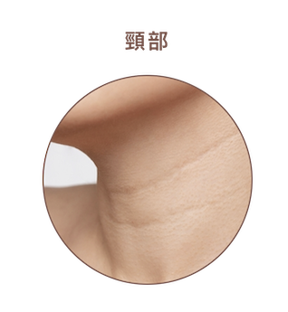 圖8-(1)5